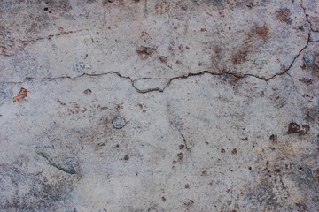 Cracks of the wall and green moss.