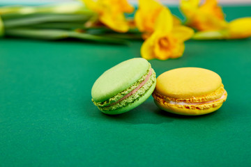 French delicacy, macaroons colorful with spring blossom. Bouquet flowers narcissus