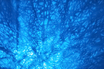 Light and dark shadows of blue abstract background, dinamic expression, wires, electronic nets. Copy space.