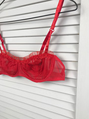 Red lace bra on a hanger on a white background