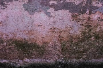 Cracks of the wall and green moss.