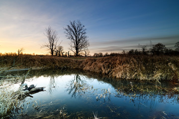 Landscape of the park in the morning