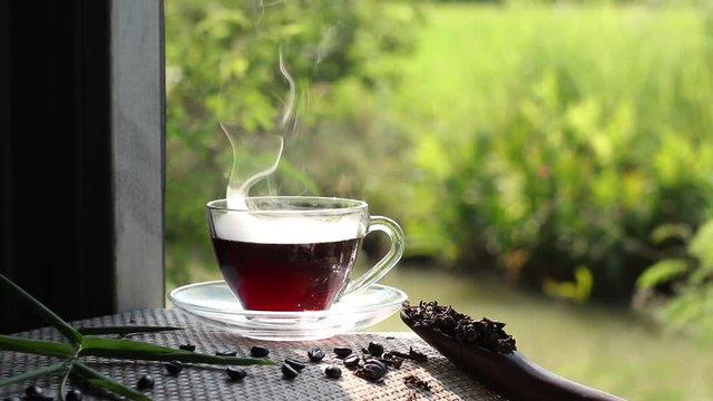 Hot tea with green garden outdoor in the evening
