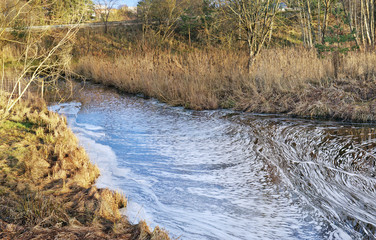 Dirty waste water merges into a clean forest stream and kill the plants
