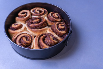 Cinnamon buns. Homemade cinnamon rolls.