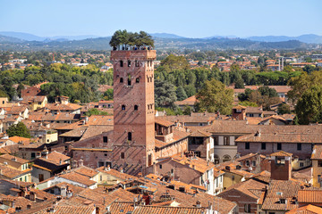 Lucca, Italy. Torre Guinigi - brick tower from 14th century topped by holm-oak trees - obrazy, fototapety, plakaty