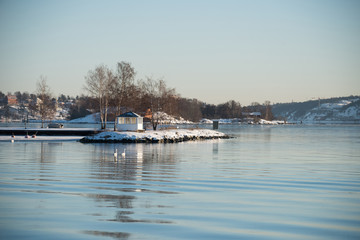 Snowy winter view in Stockholm, small island with swans