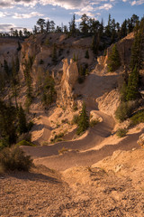 landscape on the bryce canyon in the united states of america