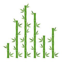 Green bamboo branches and leaves. Vector illustration.
