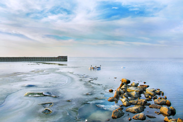 mroźna zima nad morzem, łabędzie © VinyLove Foto