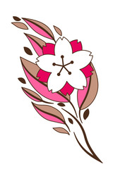 Twig of sakura or cherry blossom.