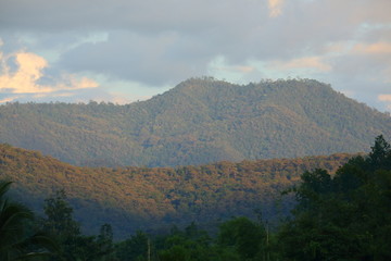 Fototapeta na wymiar landscape of green jungle mountain