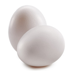 With egg isolated on white