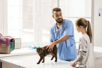 Consultation of veterinarian