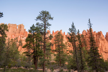 landscape on the bryce canyon in the united states of america