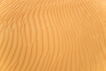 Detail of a beautiful desert sand dune, close-up texture.