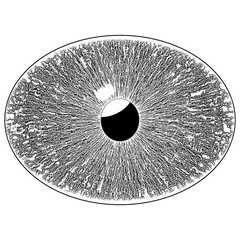Contour of unhuman eye on white