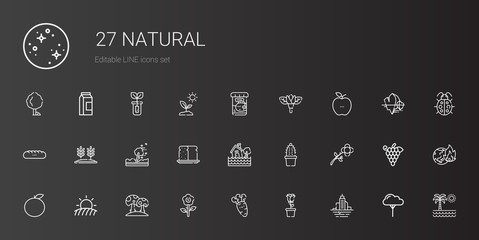 natural icons set