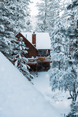 Cabin in the Snow