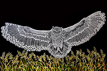Graphic drawing - a white owl in flight on a black background