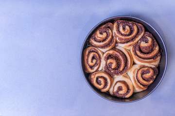 Cinnamon buns. Homemade cinnamon rolls.