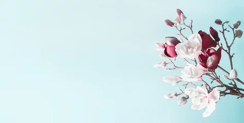 Zelfklevend Fotobehang Spring background with magnolia blossom. Flowering branch of magnolia at light blue background . Springtime  card template. Floral border with copy space. Banner  © VICUSCHKA