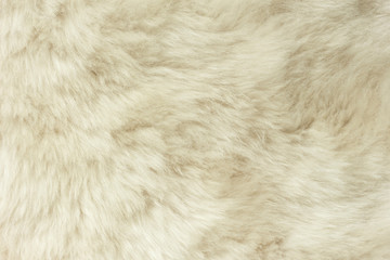 White shaggy natural sheep fur texture for background