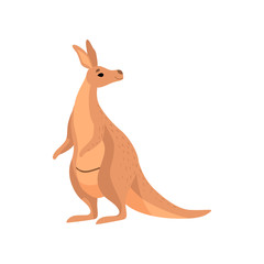 Fototapeta na wymiar Kangaroo, Brown Wallaby Australian Animal Character Vector Illustration