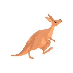 Kangaroo, Cute Brown Wallaby Australian Animal Character Vector Illustration