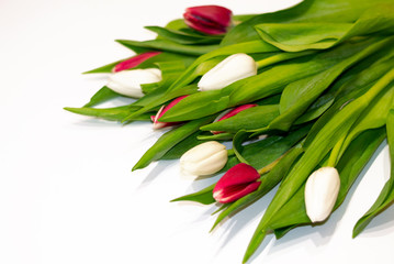 Beautiful fresh bouquet of tulip flowers isolated on white background with copy space.