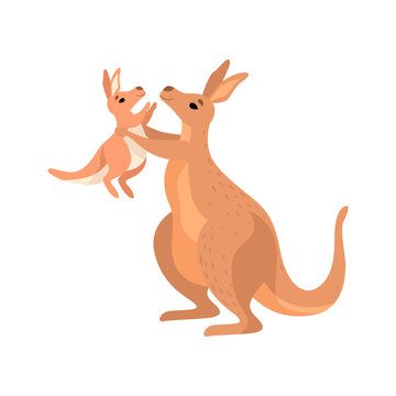 Brown Kangaroo Holding Her Little Baby, Cute Wallaby Australian Animal Character Vector Illustration
