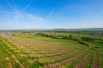 Fototapeta na wymiar Blick über die Weinberge bei Geisenheim in den Rheingau