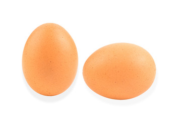 egg on white background