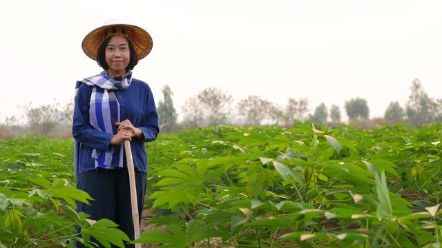 Smiling female tapioca farmer who wearing a blue Mauhom T-shirt, wrapped around the neck with blue and white plaid loincloth, wearing a palm-leaf hat(ngop), is using a spade to hedge grass and weeds.