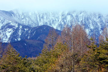 冬山風景、美しの森、高原、冬景色、山脈
