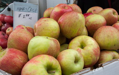 Honeycrisp apples for sale at Union Square Greenmarket. NYC. USA