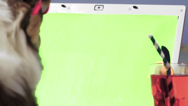 Dog looking at a laptop screen and enjoiny red drink on the beach