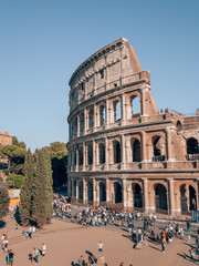 Fototapeta premium Collosseum in Rome, Italy