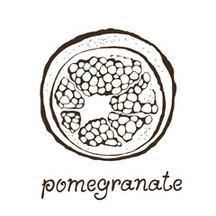 Pomegranate vector illustration isolated on white background