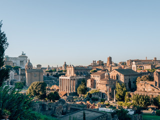Fototapeta premium Forum Romanum in Rome, italy