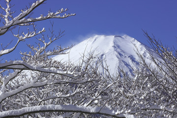 冬の富士山、雪煙、1月の富士山、山中湖、快晴富士、冬富士