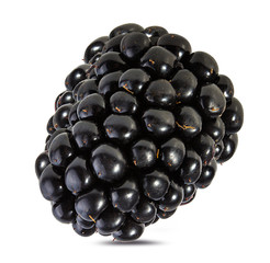 Fresh blackberry isolated on white background with clipping path