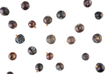 Black Juniper berries isolated on white background