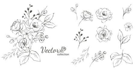 Set of floral branch. Flower rose,  leaves. Wedding concept with flowers. Floral poster, invite. Vector arrangements for greeting card or invitation design - obrazy, fototapety, plakaty