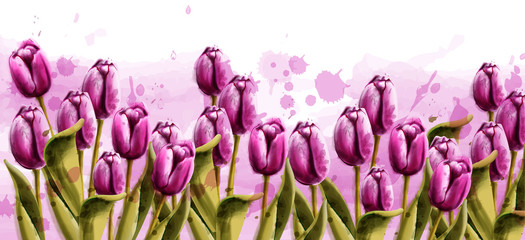 Pink tulips spring background Vector watercolor. Beautiful banner poster or invitations