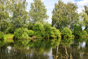 Lake image. Forest Lake. Summer landscape. The lake is surrounded by trees.