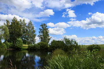 Fototapeta na wymiar Lake image. Forest Lake. Summer landscape. The lake is surrounded by trees.