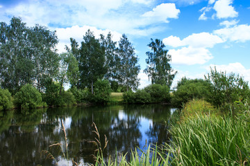 Lake image. Forest Lake. Summer landscape. The lake is surrounded by trees.