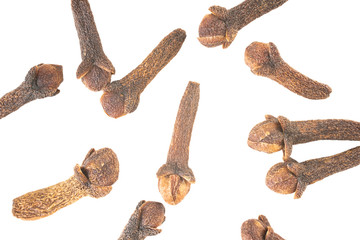 Clove isolated on white background. Overhead view