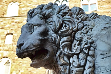 Obraz premium Lion of Vacca, Loggia dei Lanzi, Signoria square, Florence, Italy